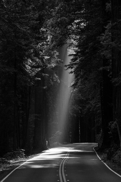 Home > Subscribe to a network of expertise… > IronMarket Talent Image 1