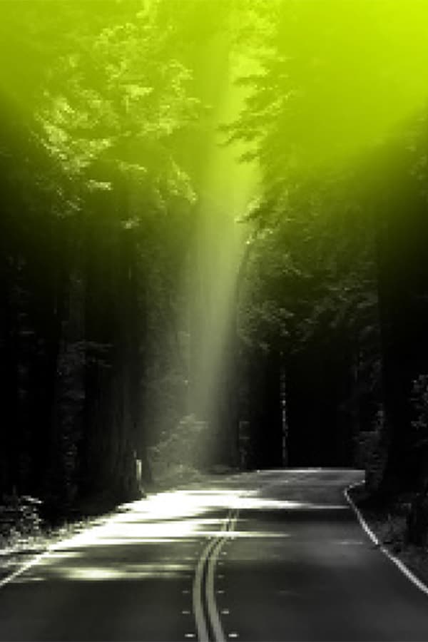 Insider Knowledge > Kerri-Ann Hargreaves IronMarket Talent is a bright new direction for H2 Consultancy > Featured Image